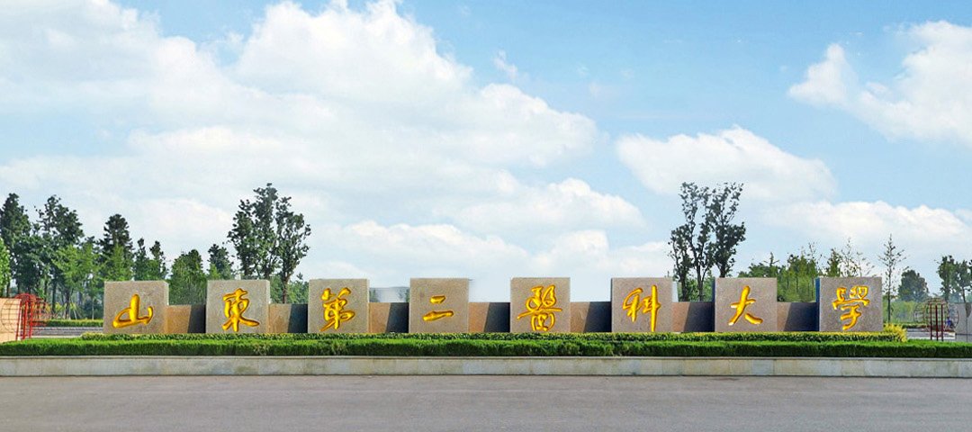 261053 继续浏览